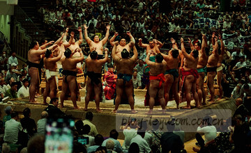 联系支持 按页面右下角蓝色按钮
